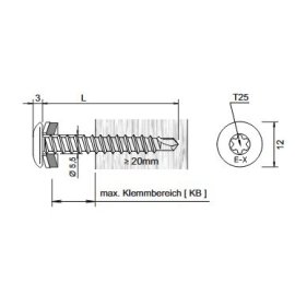 100 Stk. Bohrschrauben E-X T25 BR RS 12 5,5 x 22 mm