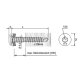 100 Stk. Bohrschrauben E-X T25 BR RS 12 5,5 x 22 mm