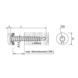 100 Stk. Bohrschrauben E-X T25 BR RS 12 5,5 x 38 mm