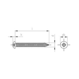 100 Stück Flachrundkopf-Sicherheitsschrauben Art. 9110 A2 4,2 x 16 mm ISK-PIN 2,5