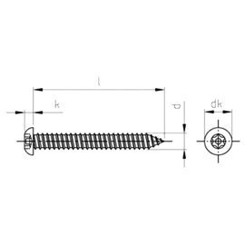 100 Stück Flachrundkopf-Sicherheitsschrauben Art. 9120 A2 4,8 x 19 mm TX-PIN 25