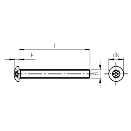 100 Stück Flachrundkopf-Sicherheitsschrauben Art. 9121 A2 M 3 x 20 mm TX-PIN 10