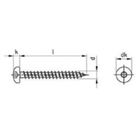 100 Stück Spanplattenschrauben A2 Torx PH 6,0 x 110