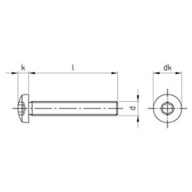 100 Stück Linsenschrauben ISO 14583 A2 Torx M8 x 100