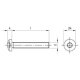 100 Stück Linsenschrauben ISO 14583 A2 Torx M8 x 100