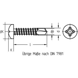 1000 Stück Bohrschrauben DIN 7504-M galv. verzinkt 3,9 x 32