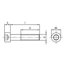 1000 Stück Zylinderschrauben ISO 4762 (DIN 912) A2 M 3x22