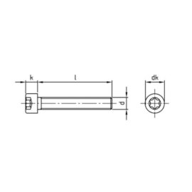 500 Stück Zylinderschrauben ISO 14579 A2 Torx M 2x8 TX6