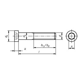 100 Stück Zylinderschrauben DIN 7984 Zn M4 x 12