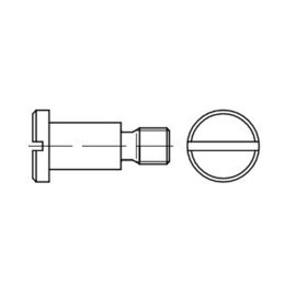 100 Stk. Flachkopfschrauben DIN 923 blank M6 x 5