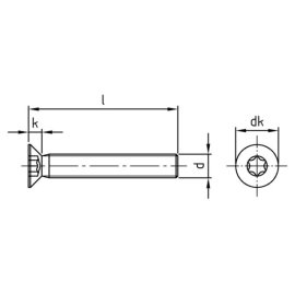 1000 Stk. Senkkopfschrauben ISO 14581 A2 Torx M2 x 6