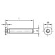 200 Stk. Senkkopfschrauben ISO 14581 A2 Torx M4 x 100